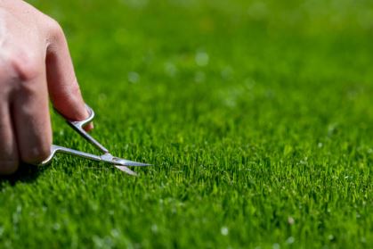 Dienas piedāvājums robotam zvanot